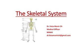 The Skeletal System
Dr. Faiza Munir Ch
Medical Officer
MINAS
dr.faizamunirch@gmail.com
 