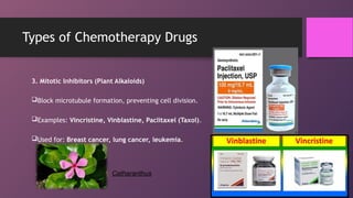 Treatment of Cancer- Medical Biotechnology | PPT