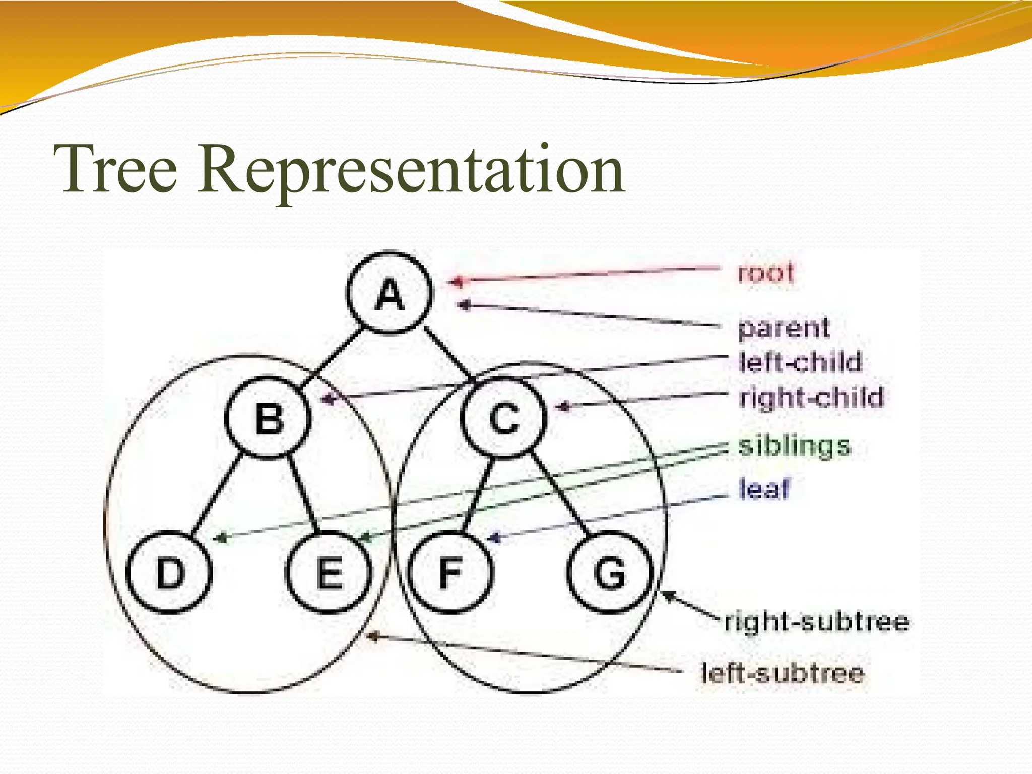 Tree Representation
 
