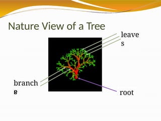 Nature View of a Tree
branch
e
s
leave
s
root
 