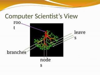 Computer Scientist’s View
leave
s
roo
t
branches
node
s
 
