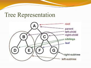 Tree Representation
 