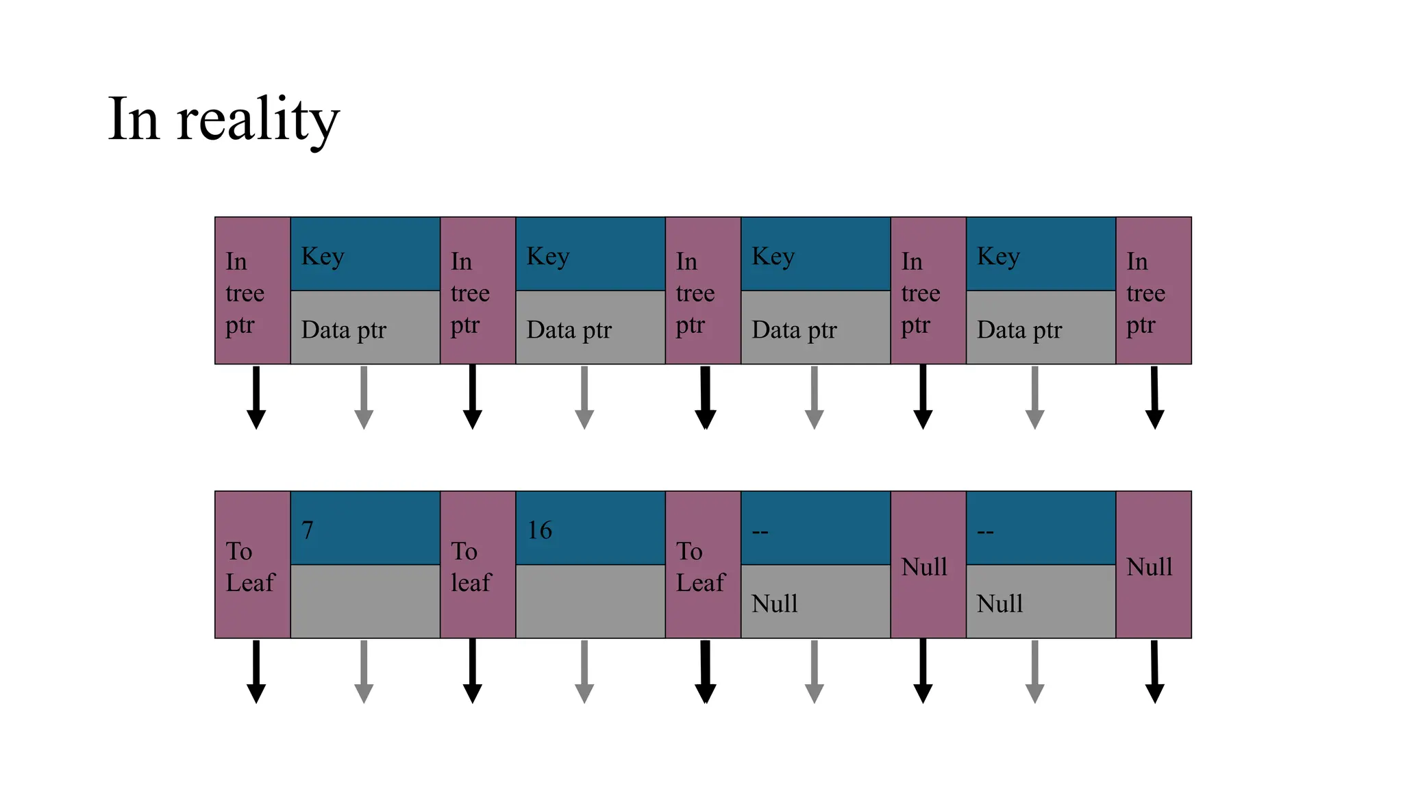 In reality
In
tree
ptr
Key
Data ptr
In
tree
ptr
Key
Data ptr
In
tree
ptr
Key
Data ptr
In
tree
ptr
Key
Data ptr
In
tree
ptr
To
Leaf
7
To
leaf
16
To
Leaf
--
Null
Null
--
Null
Null
 