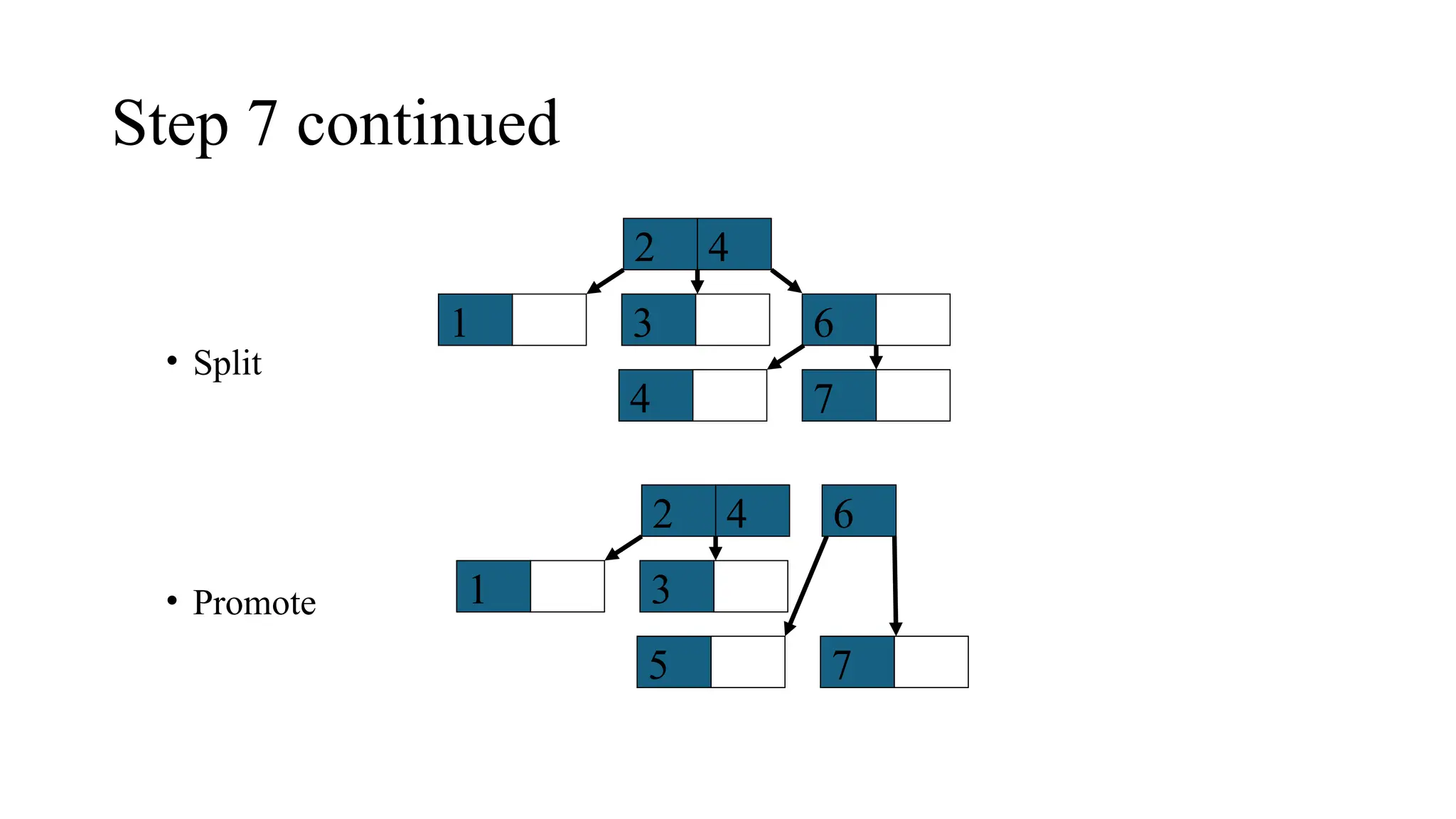 Step 7 continued
4
2
1 3 6
4 7
4
2
1 3
6
5 7
• Split
• Promote
 