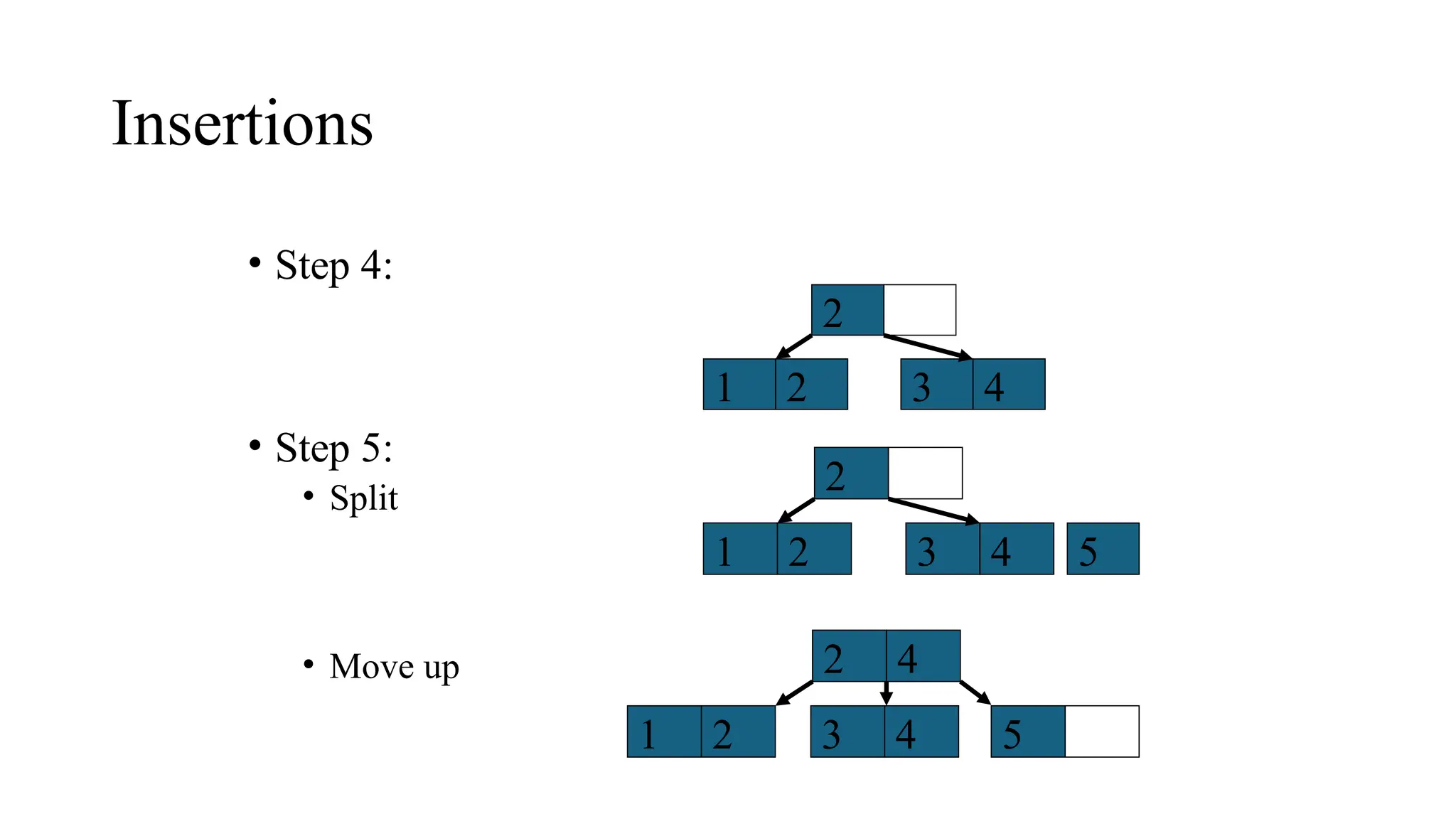 Insertions
• Step 4:
• Step 5:
• Split
• Move up
5
3
2
1 2 4
3
2
1 2 4
4
2
1 2 3 4 5
 