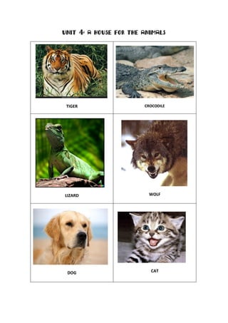 UNIT     4:   A HOUSE FOR THE ANIMALS




 TIGER                        CROCODILE




LIZARD                          WOLF




 DOG                            CAT
 