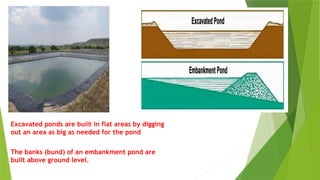 Excavated ponds are built in flat areas by digging
out an area as big as needed for the pond
The banks (bund) of an embankment pond are
built above ground level.
 