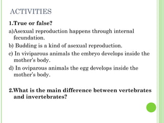 ACTIVITIES 1.True or false? a)Asexual reproduction happens through internal fecundation. b) Budding is a kind of asexual reproduction. c) In viviparous animals the embryo develops inside the mother’s body. d) In oviparous animals the egg develops inside the mother’s body. 2.What is the main difference between vertebrates and invertebrates? 