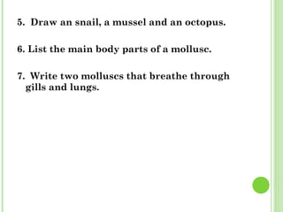 5.  Draw an snail, a mussel and an octopus. 6. List the main body parts of a mollusc. 7.  Write two molluscs that breathe through gills and lungs. 