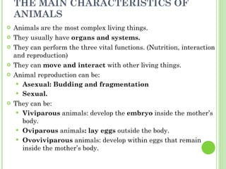 THE MAIN CHARACTERISTICS OF ANIMALS Animals are the most complex living things. They usually have  organs and systems. They can perform the three vital functions. (Nutrition, interaction and reproduction) They can  move and interact  with   other living things. Animal reproduction can be: Asexual: Budding and fragmentation Sexual. They can be: Viviparous  animals: develop the  embryo  inside the mother’s body. Oviparous  animals : lay eggs  outside the body. Ovoviviparous  animals: develop within eggs that remain inside the mother’s body. 