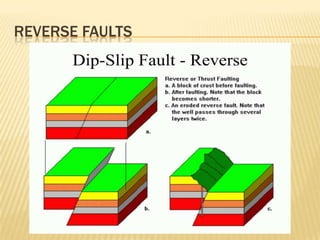 REVERSE FAULTS
 