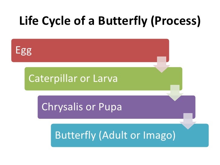 timeline smartart powerpoint 2010
