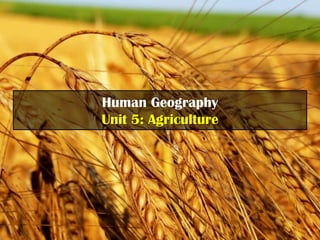Human Geography
Unit 5: Agriculture
 