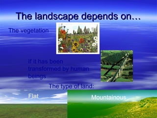 The landscape depends on…
The vegetation




      If it has been
      transformed by human
      beings
             The...