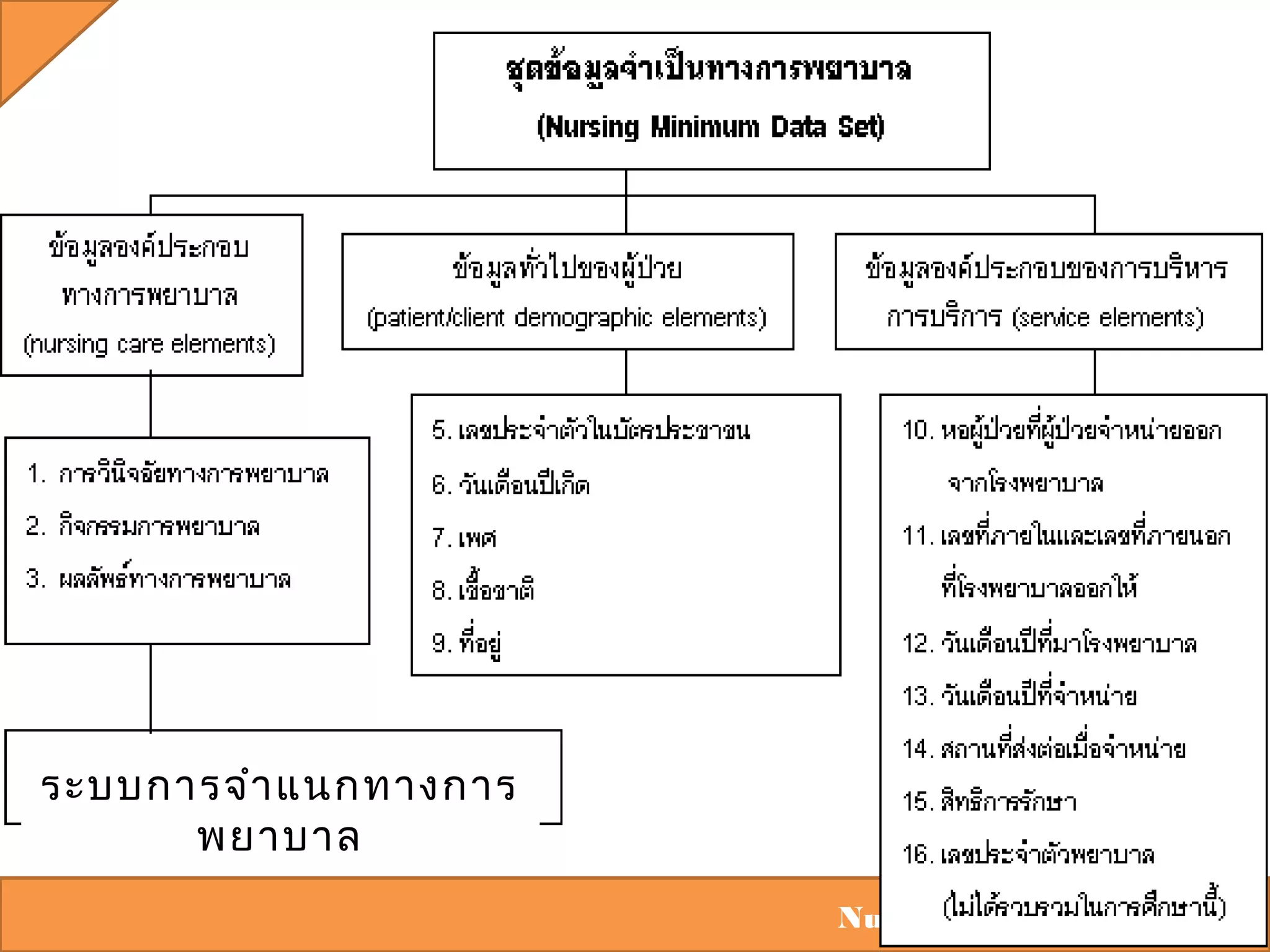 ระบบการจำา แนกทางการ
พยาบาล
Nursing Informatics 2012

 