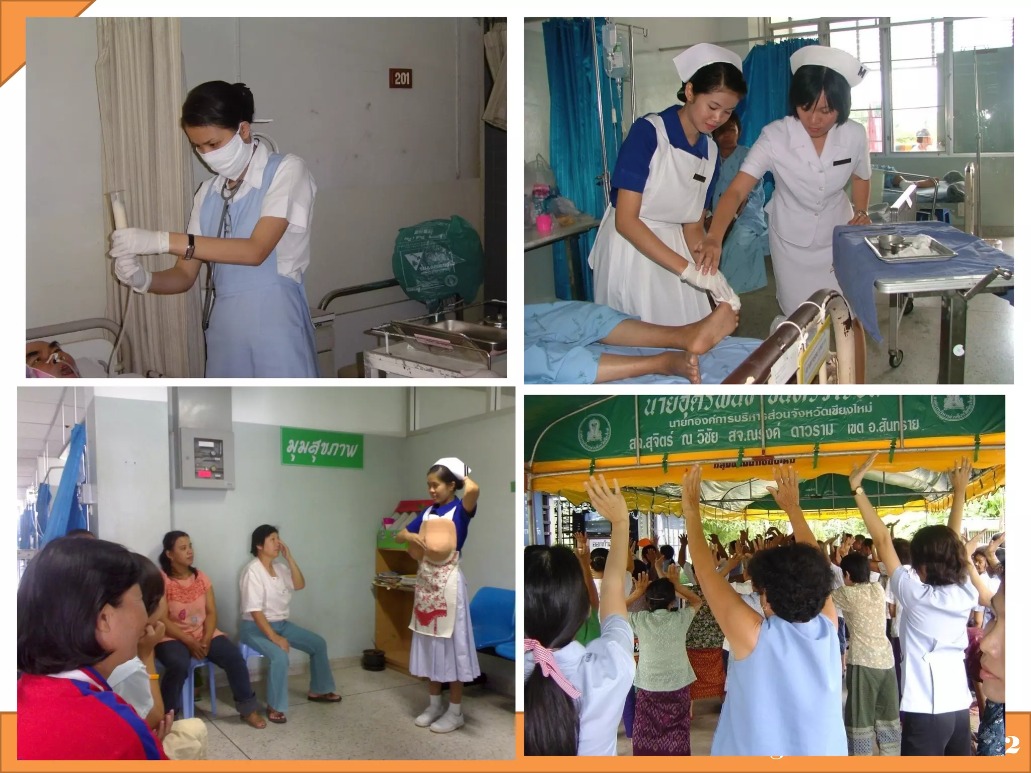 Nursing Informatics 2012

 