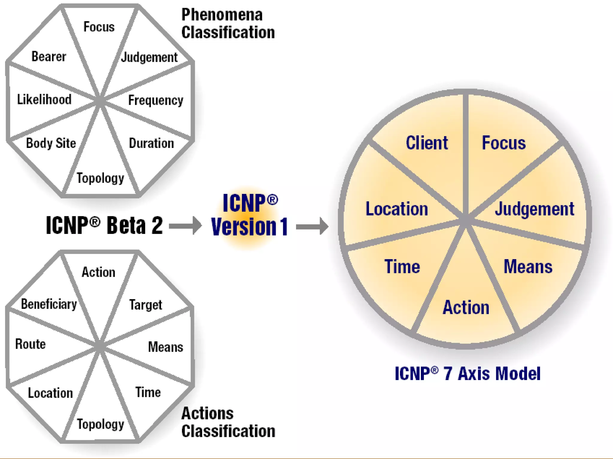 Nursing Informatics 2012

 