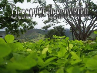 Unit 5 from 6º Heroes from Scotland