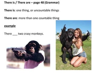 There is / There are – page 48 (Grammar)
There is: one thing, or uncountable things
There are: more than one countable thing
example
There __ one crazy monkey.
 