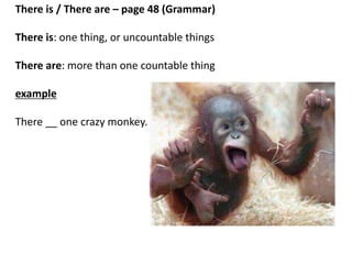 Page 48 Grammar: There is/ There are
-read the paragraph and circle examples of
there is there are
 