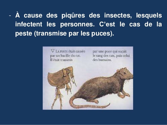 Unité 5. les maladies infectieuses (4)