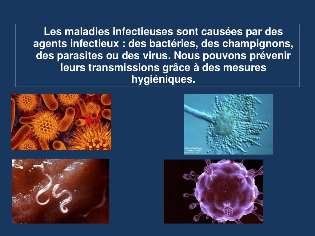Unité 5. les maladies infectieuses (4)
