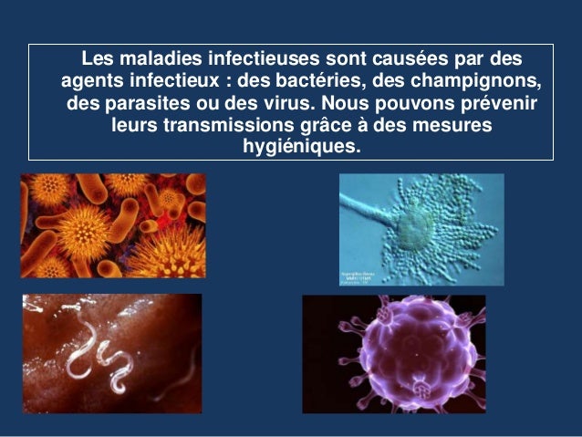 Les comprimés des parasites pour la personne dekaris