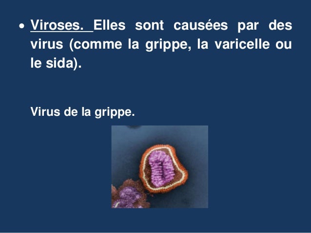 La prophylaxie des helminthes chez le chaton 1 mois
