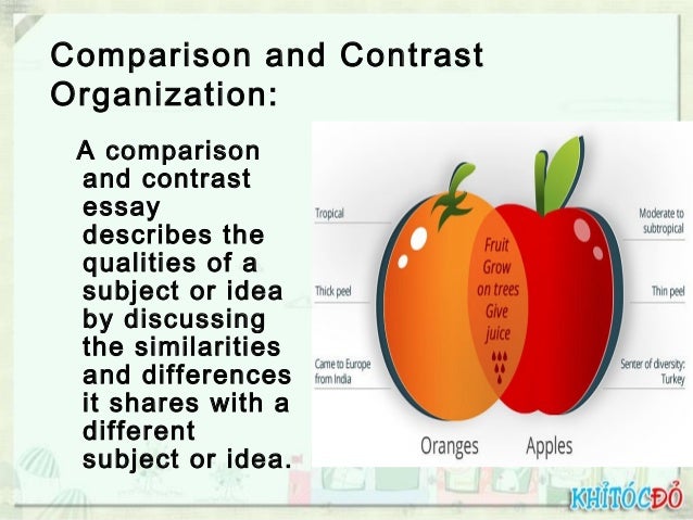 Comparison and contrast essay food