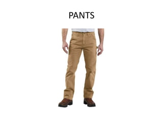 PANTS
 