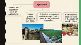 Agriculture
Irrigation techniques
and new crops (cotton,
rice, aubergines and
artichokes).
Most of the
population
work on
agriculture. Grains,
grapes,
olives and
fruit trees.
Farmers sold
their products
in the souks of
nearby cities.
 