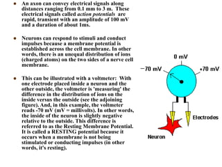  An axon can convey electrical signals along
distances ranging from 0.1 mm to 3 m. These
electrical signals called action potentials are
rapid, transient with an amplitude of 100 mV
and a duration of about 1ms.
 Neurons can respond to stimuli and conduct
impulses because a membrane potential is
established across the cell membrane. In other
words, there is an unequal distribution of ions
(charged atoms) on the two sides of a nerve cell
membrane.
 This can be illustrated with a voltmeter: With
one electrode placed inside a neuron and the
other outside, the voltmeter is 'measuring' the
difference in the distribution of ions on the
inside versus the outside (see the adjoining
figure). And, in this example, the voltmeter
reads -70 mV (mV = millivolts). In other words,
the inside of the neuron is slightly negative
relative to the outside. This difference is
referred to as the Resting Membrane Potential.
It is called a RESTING potential because it
occurs when a membrane is not being
stimulated or conducting impulses (in other
words, it's resting).
 