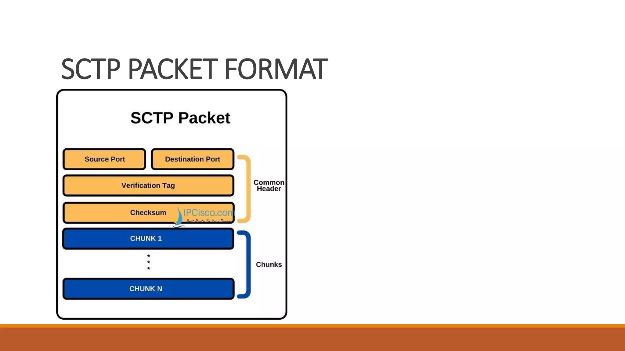 SCTP PACKET FORMAT
 