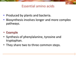 Unit 5.ppt