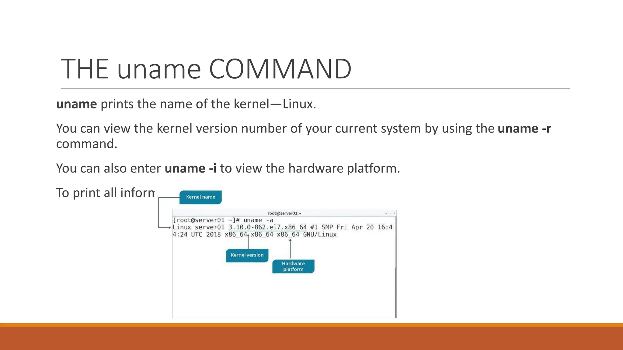 THE uname COMMAND
uname prints the name of the kernel—Linux.
You can view the kernel version number of your current system by using the uname -r
command.
You can also enter uname -i to view the hardware platform.
To print all information, enter the uname -a command.
 