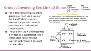 Superscript Cross Unit 5.2 Advanced AP Biology Genetics 2223.pptx