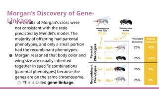 Unit 5.2 Advanced AP Biology Genetics 2223.pptx