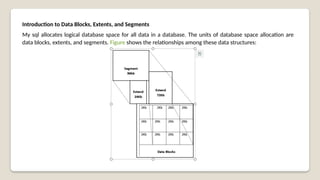 Sql Segment UNIT 5.pptxhjvxvbfbvjfdvcx,nxkjvbfkckvjfckn | PPTX