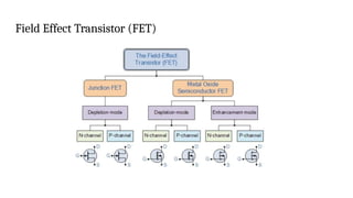 Comprehensive Overview of Field Effect Transistors (FET) and Their ...