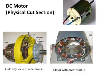 DC Motor
(Physical Cut Section)
Cutaway view of a dc motor Stator with poles visible.
 