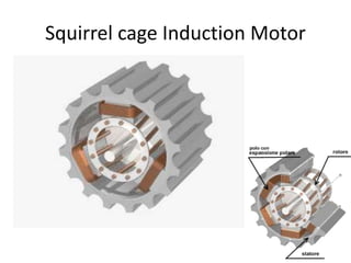 Squirrel cage Induction Motor
 