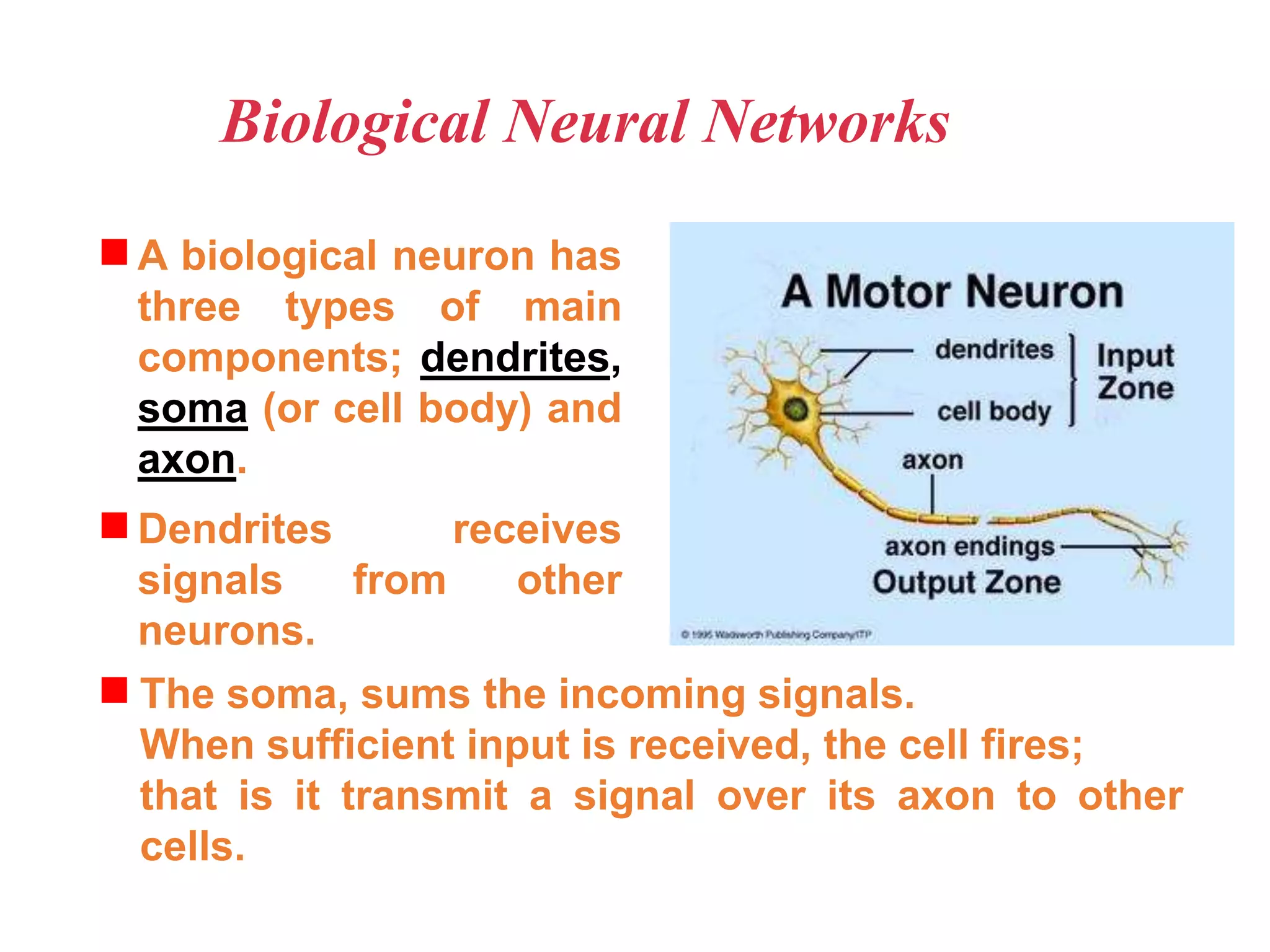 Biological Neural Networks
A biological neuron has
three types of main
components; dendrites,
soma (or cell body) and
axon.
Dendrites receives
signals from other
neurons.
The soma, sums the incoming signals.
When sufficient input is received, the cell fires;
that is it transmit a signal over its axon to other
cells.
 