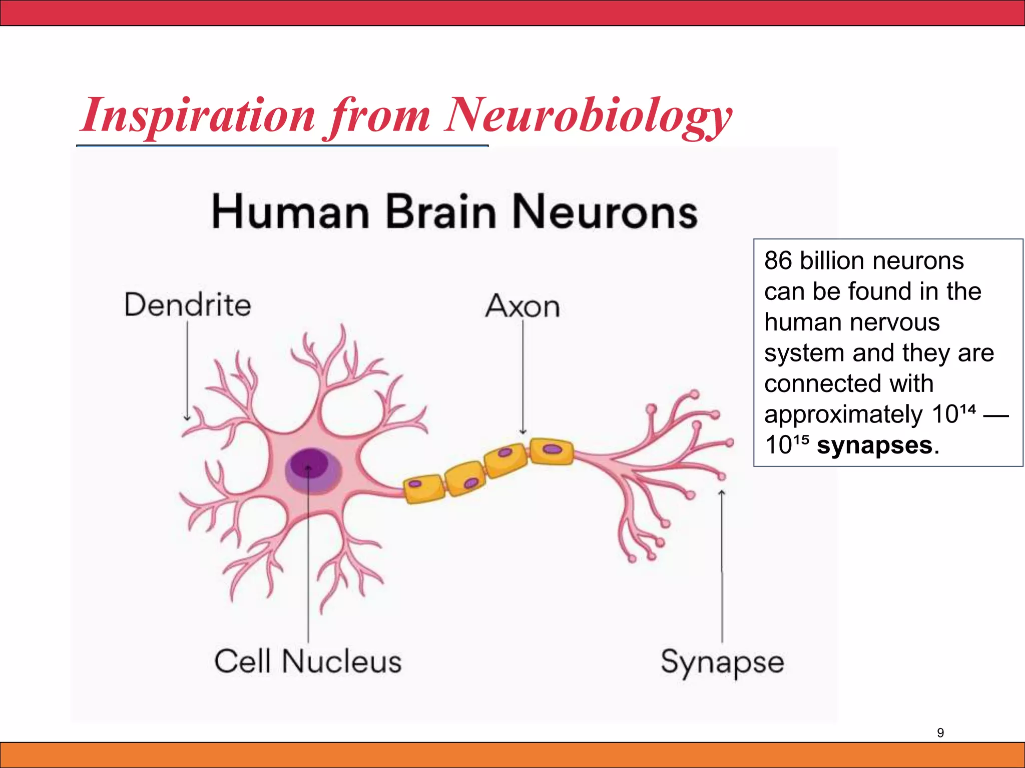 Inspiration from Neurobiology
9
Human Biological Neuron
86 billion neurons
can be found in the
human nervous
system and they are
connected with
approximately 10¹⁴ —
10¹⁵ synapses.
 