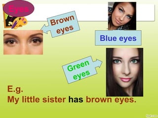 Eyes
Blue eyes
E.g.
My little sister has brown eyes.
 