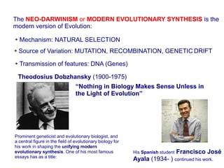 Unit5 biological evolution | PDF
