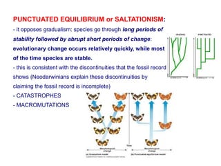 Unit5 biological evolution | PDF