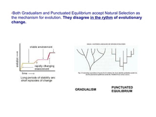 Unit5 biological evolution | PDF