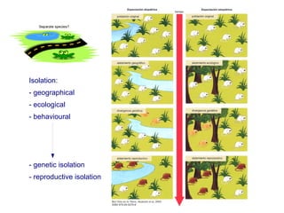 Unit5 biological evolution | PDF