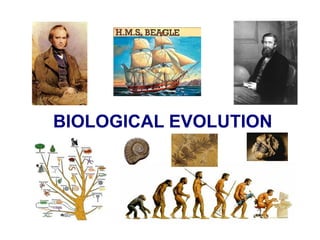 BIOLOGICAL EVOLUTION

 