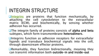 Integrin Subtypes Unit 5- Cell Interactions and Signal Transduction.ppt